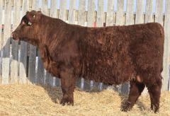 Click to View Listing Details