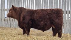 Click to View Listing Details