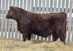 Click to View Listing Details