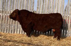 Click to View Listing Details