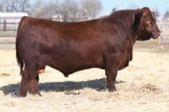 Click to View Listing Details