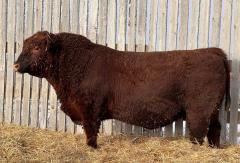 Click to View Listing Details