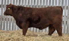 Click to View Listing Details