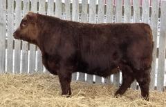 Click to View Listing Details