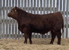 Click to View Listing Details