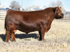 Click to View Listing Details