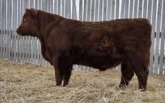 Click to View Listing Details